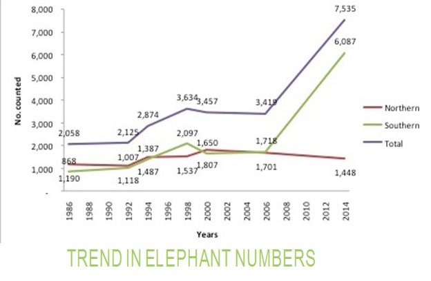 trend_in_Elephant